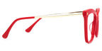 RAPTR Eyewear frame FP0044-07 image 4