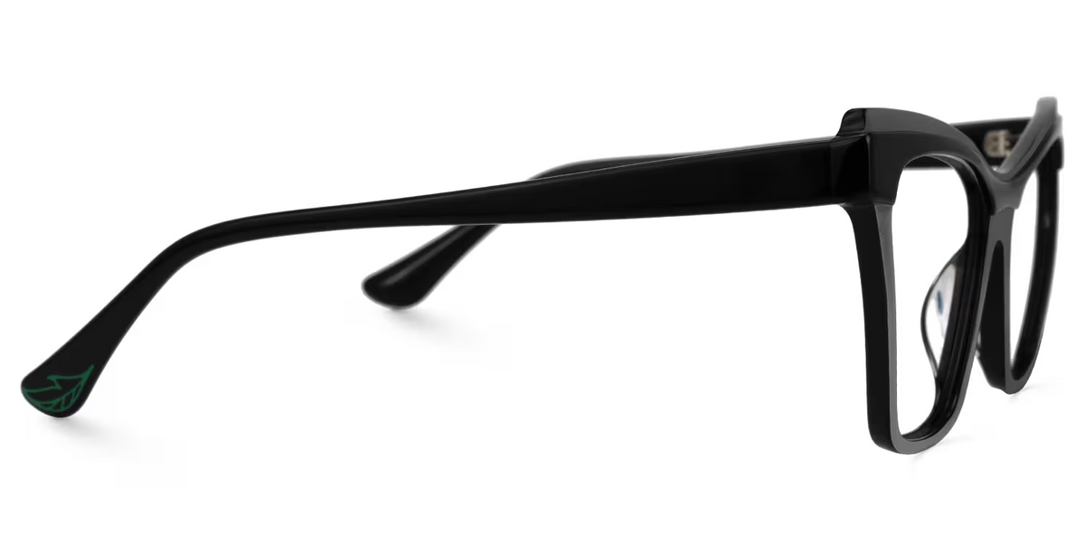 RAPTR Eyewear frame JGA017238-01 image 3