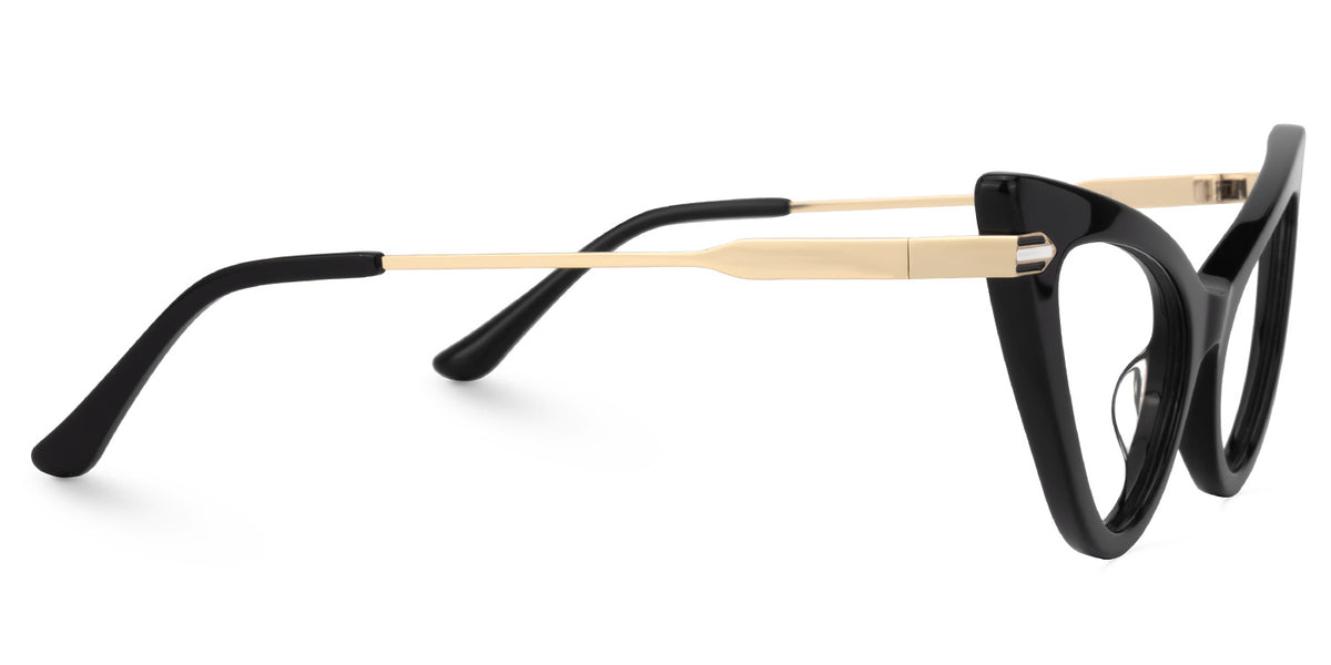 RAPTR Eyewear frame JGA193165-01 image 3