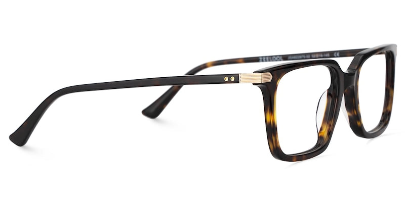 RAPTR Eyewear frame JGA822975-02 image 3