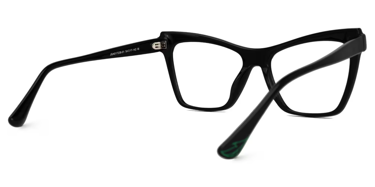 RAPTR Eyewear frame JGA017238-01 image 4