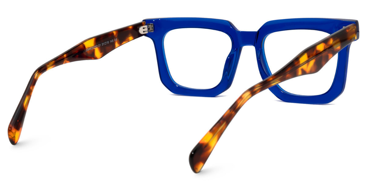 RAPTR Eyewear frame JGA830292-01 image 4