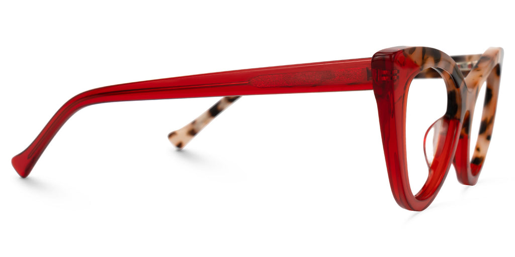 RAPTR Eyewear frame JGA454518-09 image 2