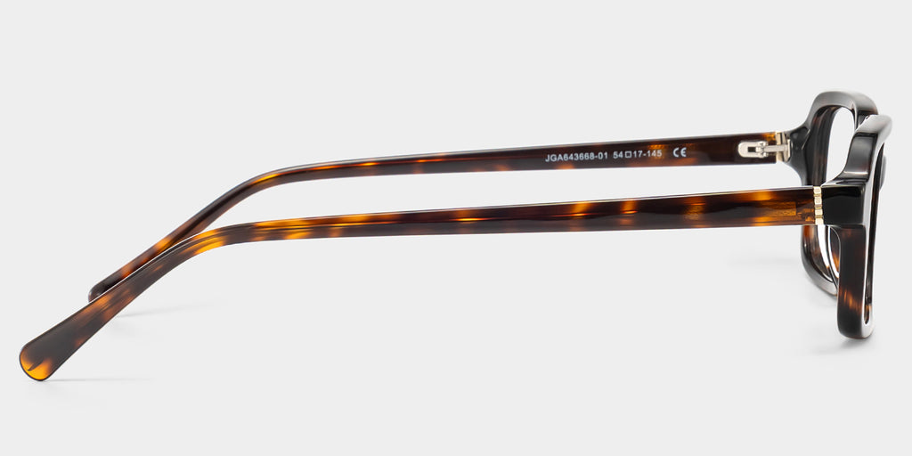 RAPTR Eyewear frame JGA643668-01 image 4