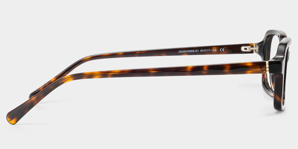RAPTR Eyewear frame JGA643668-01 image 4