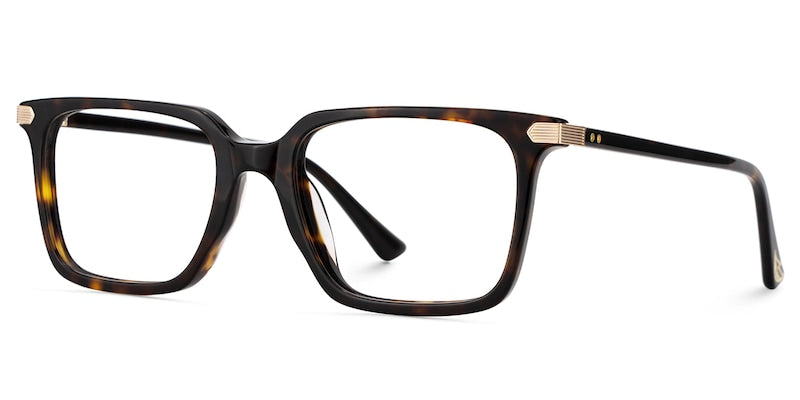 RAPTR Eyewear frame JGA822975-02 image 2