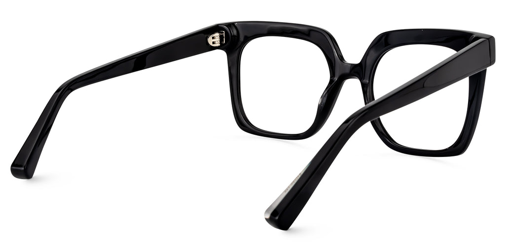 RAPTR Eyewear frame OA02007-01 image 5